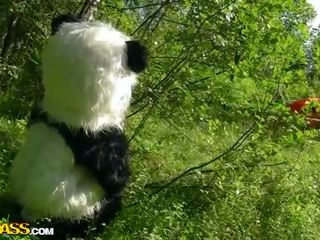 작은 빨강 승마 후드 빌어 먹을 와 panda 에 그만큼 목재 비디오