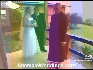 Bia Shemale Wedding Sex