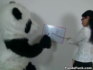 Gợi cảm giáo viên vì sừng panda mang