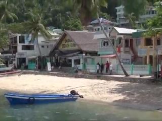 Buck laukinis rodo sabang paplūdimys puerto galera filipininai