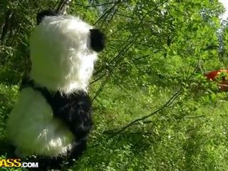 小 紅 騎術 兜帽 他媽的 同 panda 在 該 木 視頻