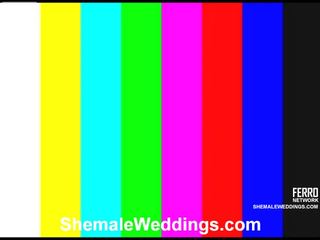 Awesome Shemale Weddings Movie With Amazing Porn Stars Carol, Lorena, Milena